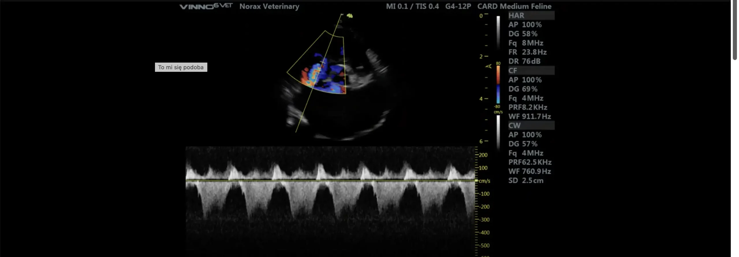 Case Studies Image